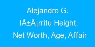 Alejandro G. IÃ±Ã¡rritu Height, Net Worth, Age, Affair