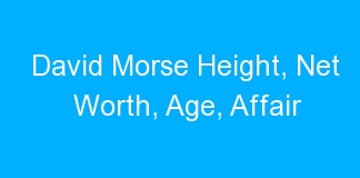 David Morse Height, Net Worth, Age, Affair