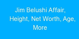 Jim Belushi Affair, Height, Net Worth, Age, More
