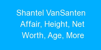 Shantel VanSanten Affair, Height, Net Worth, Age, More