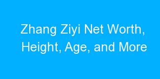 Zhang Ziyi Net Worth, Height, Age, and More