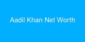 Aadil Khan Net Worth