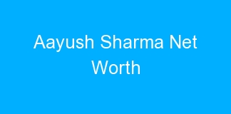 Aayush Sharma Net Worth
