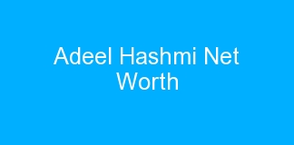 Adeel Hashmi Net Worth