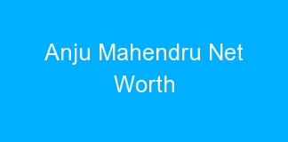 Anju Mahendru Net Worth