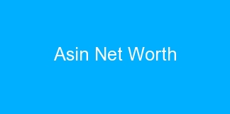 Asin Net Worth