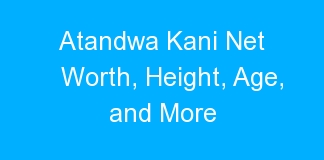Atandwa Kani Net Worth, Height, Age, and More