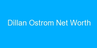 Dillan Ostrom Net Worth