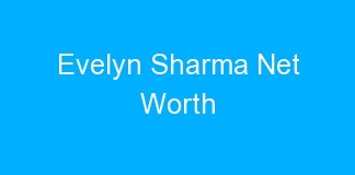 Evelyn Sharma Net Worth