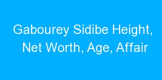 Gabourey Sidibe Height, Net Worth, Age, Affair