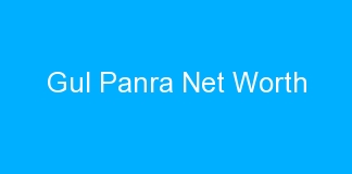 Gul Panra Net Worth
