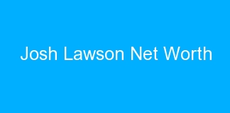 Josh Lawson Net Worth