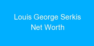 Louis George Serkis Net Worth