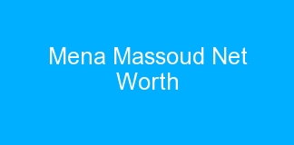 Mena Massoud Net Worth