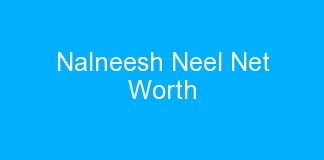 Nalneesh Neel Net Worth