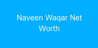Naveen Waqar Net Worth