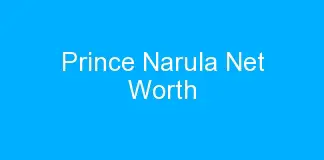 Prince Narula Net Worth