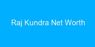 Raj Kundra Net Worth