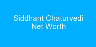 Siddhant Chaturvedi Net Worth