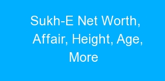 Sukh-E Net Worth, Affair, Height, Age, More