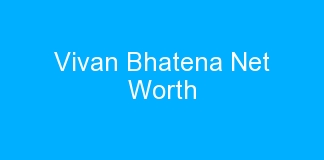 Vivan Bhatena Net Worth