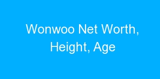 Wonwoo Net Worth, Height, Age