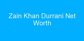 Zain Khan Durrani Net Worth