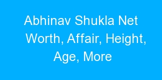 Abhinav Shukla Net Worth, Affair, Height, Age, More