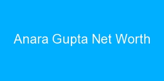 Anara Gupta Net Worth
