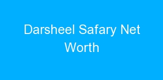 Darsheel Safary Net Worth