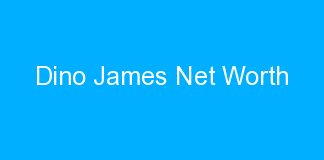 Dino James Net Worth