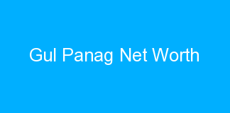 Gul Panag Net Worth