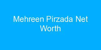 Mehreen Pirzada Net Worth