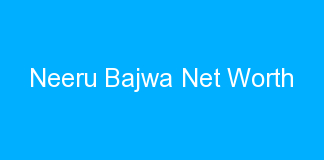 Neeru Bajwa Net Worth