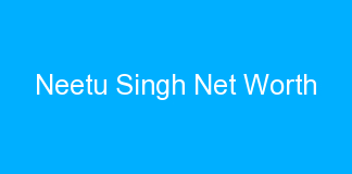 Neetu Singh Net Worth