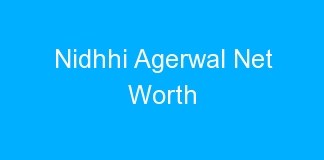 Nidhhi Agerwal Net Worth