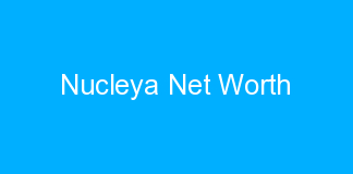 Nucleya Net Worth