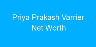 Priya Prakash Varrier Net Worth