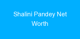 Shalini Pandey Net Worth