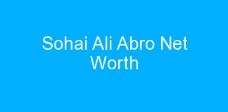Sohai Ali Abro Net Worth