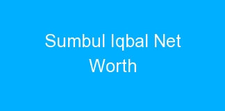 Sumbul Iqbal Net Worth