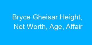 Bryce Gheisar Height, Net Worth, Age, Affair