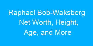 Raphael Bob-Waksberg Net Worth, Height, Age, and More