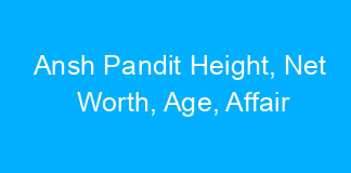 Ansh Pandit Height, Net Worth, Age, Affair