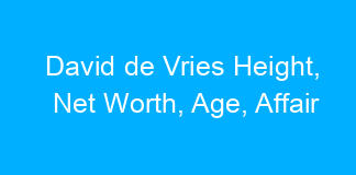 David de Vries Height, Net Worth, Age, Affair
