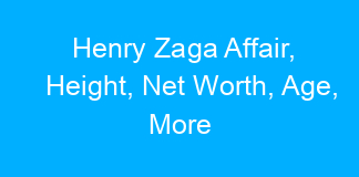 Henry Zaga Affair, Height, Net Worth, Age, More