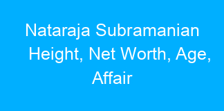 Nataraja Subramanian Height, Net Worth, Age, Affair
