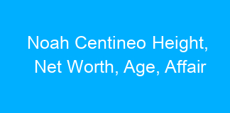 Noah Centineo Height, Net Worth, Age, Affair