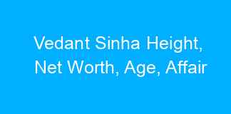 Vedant Sinha Height, Net Worth, Age, Affair