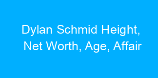 Dylan Schmid Height, Net Worth, Age, Affair